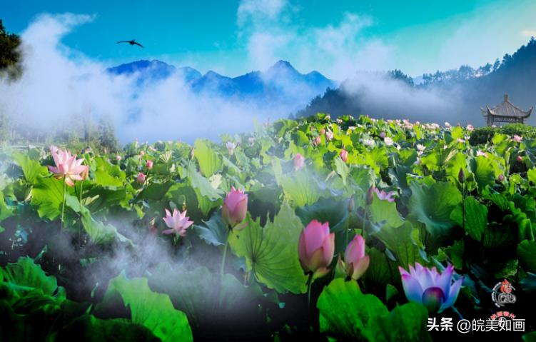 省内周边清凉避暑的地方有哪些,夏季清凉的旅游景点
