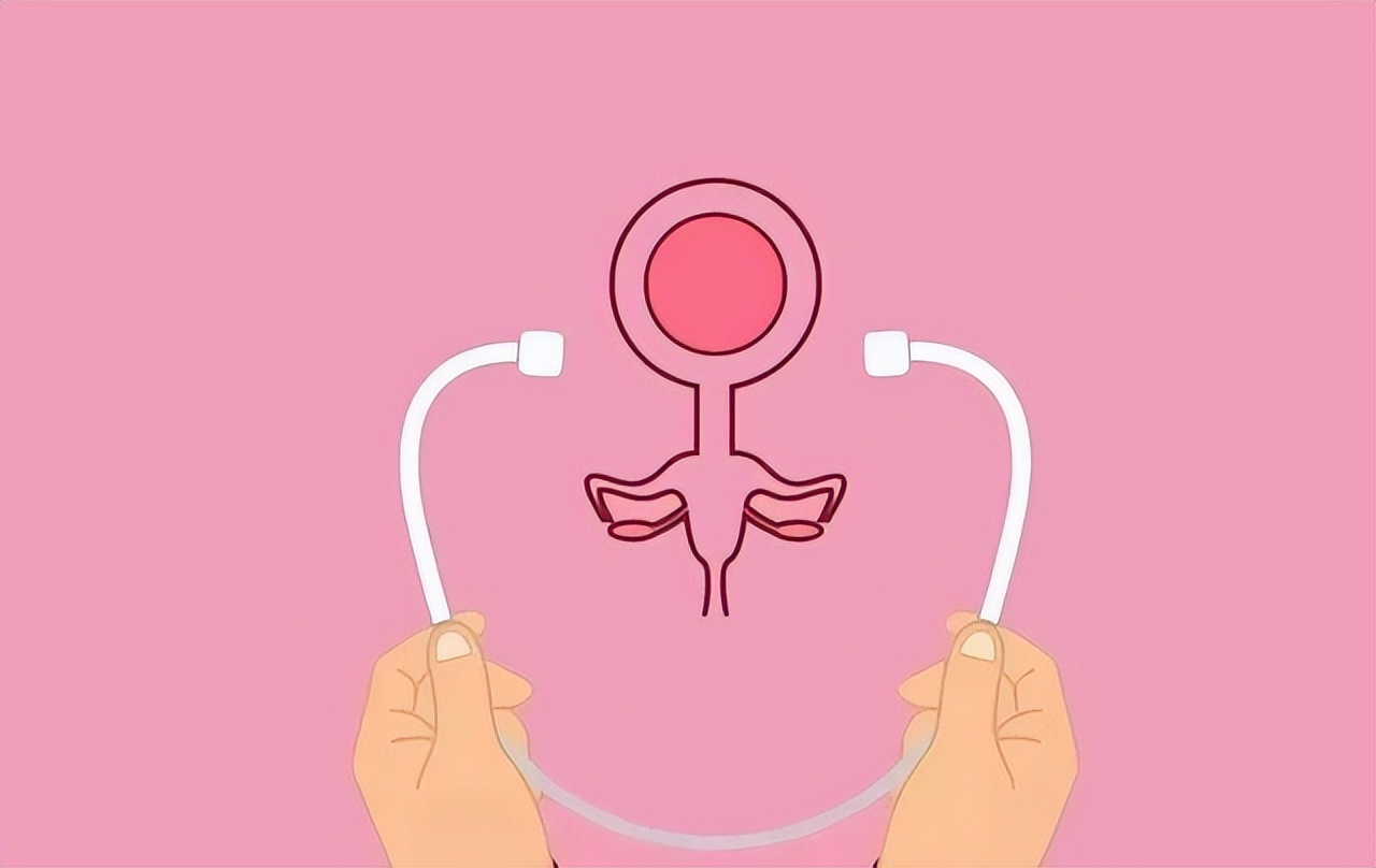 女性不分泌性激素,不分泌白带