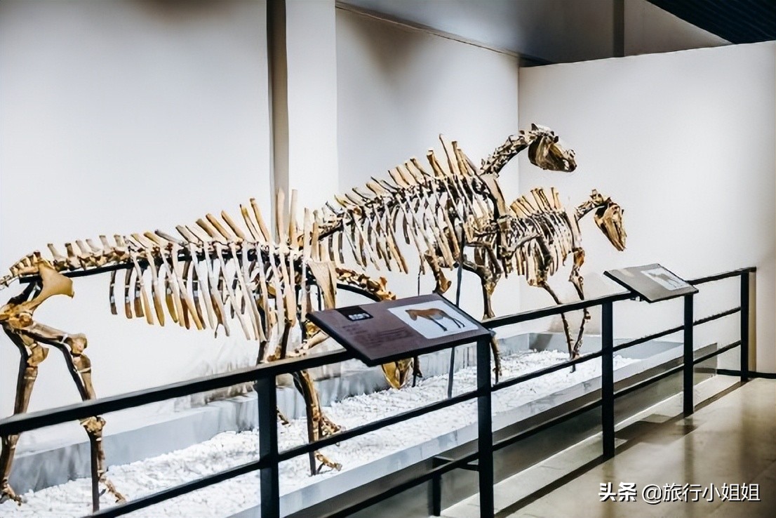 夏日海边微醺氛围感,滨城风光秀丽浪漫气息爆表