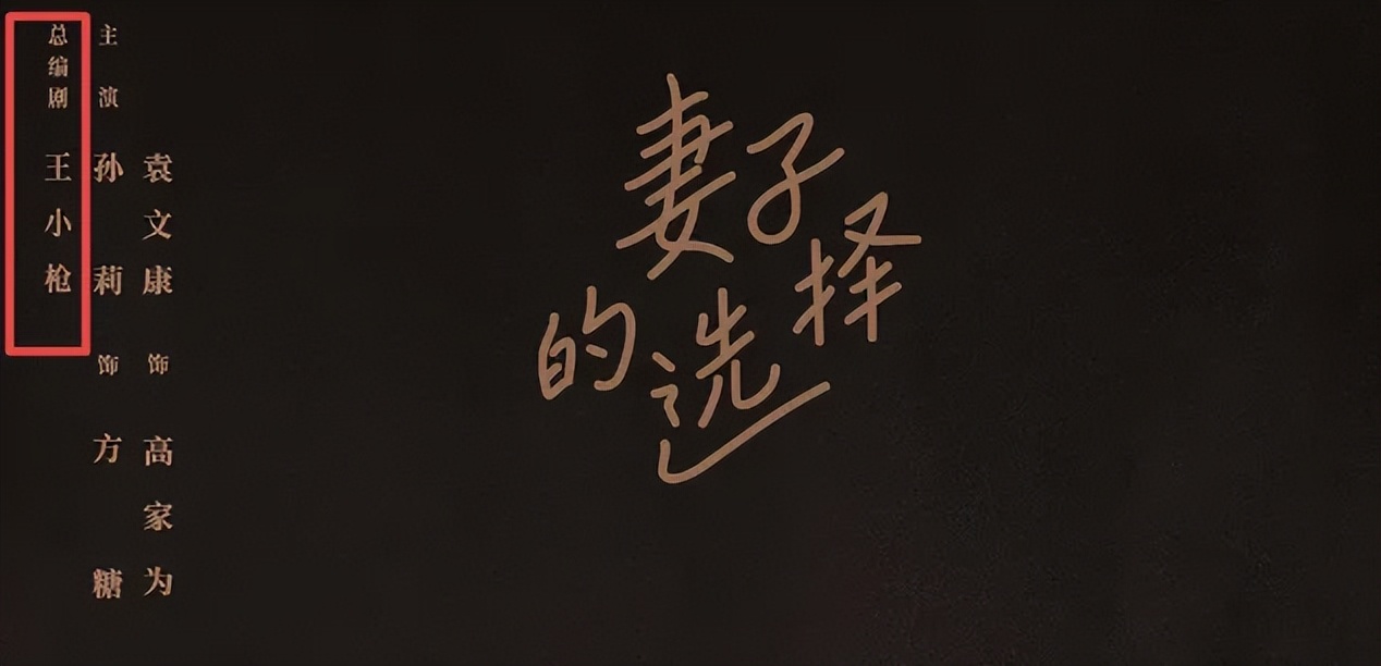 黄磊谈老婆新剧,斗智斗勇抓小三的电视剧