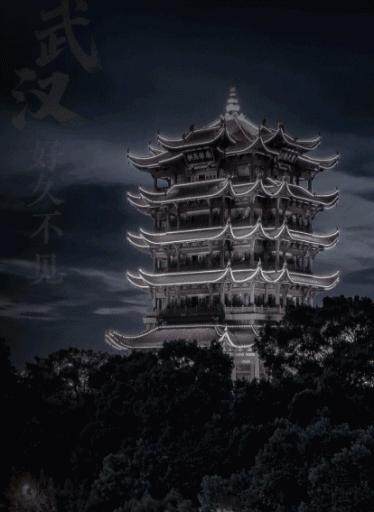 微信公众号还有人看吗,有人会看公众号吗