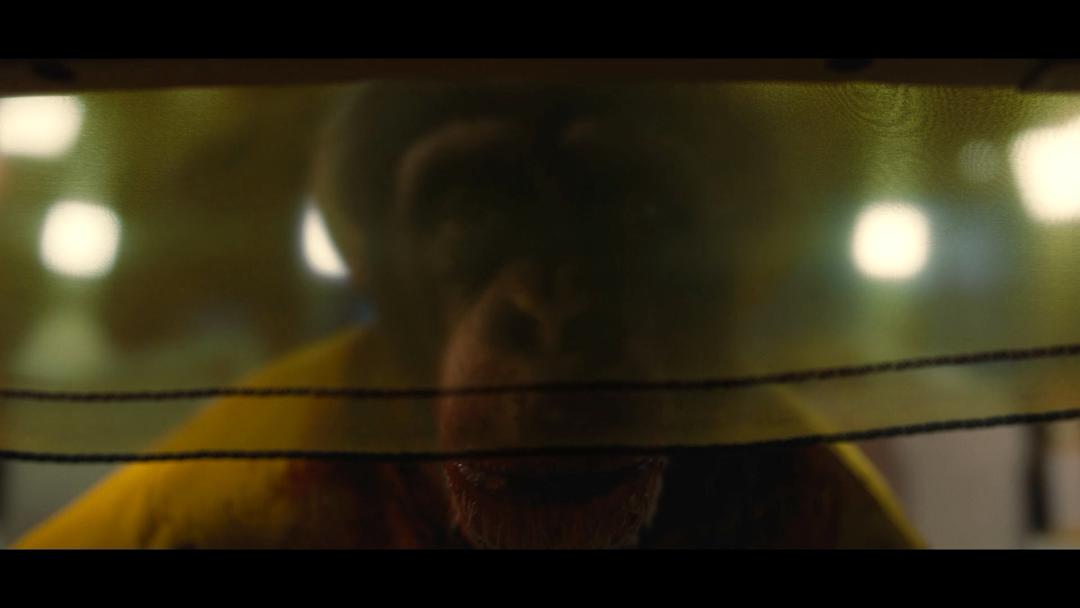 不要抬头看月亮知乎,不要抬头看月亮免费全文