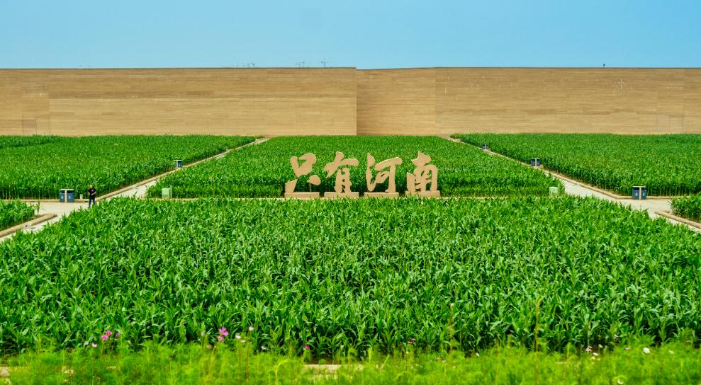 郑州八月周末适合情侣去的地方,郑州夏季周末带孩子去哪里玩好