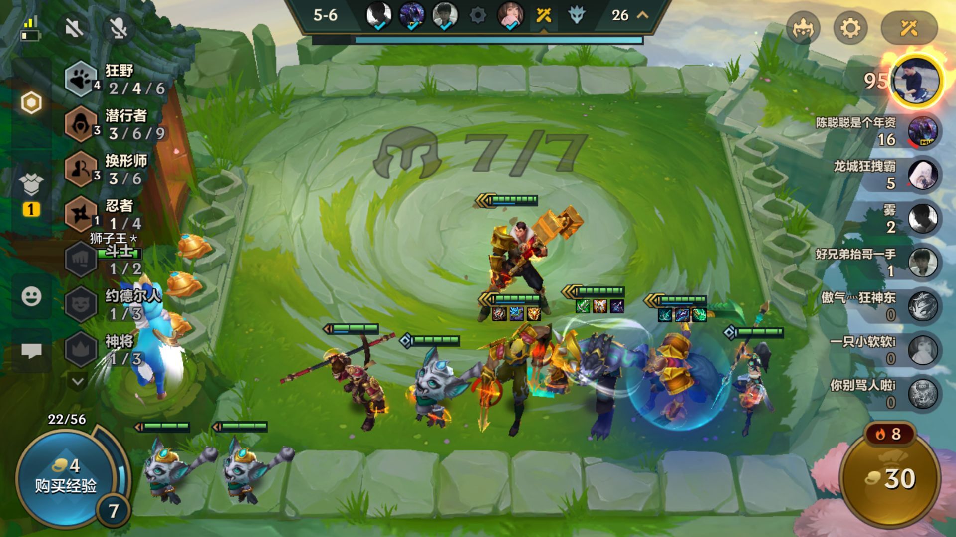 金铲铲之战王者第一名,金铲铲之战王者局狮子狗