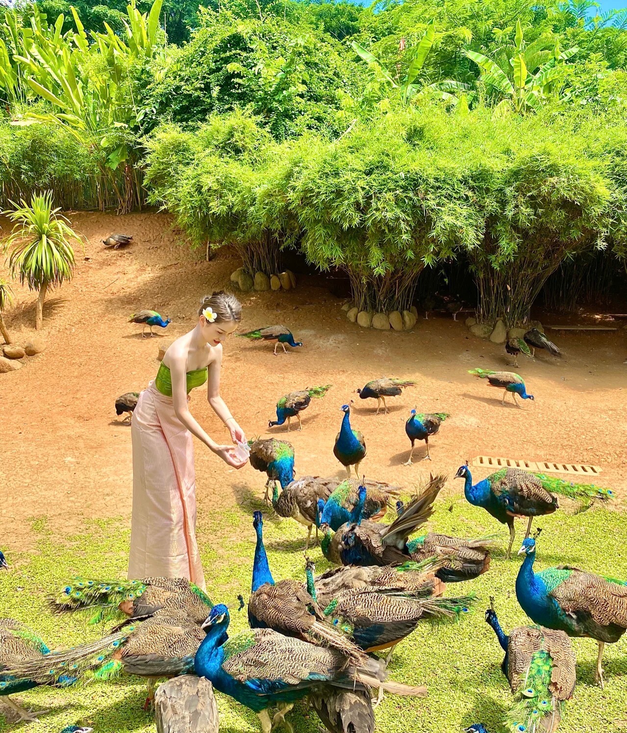 西双版纳旅游很嗨,假期放松之慢游西双版纳