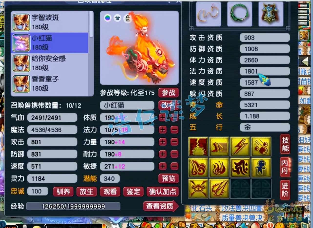 梦幻西游神豪鱼岛服战,梦幻西游鱼岛单挑视频