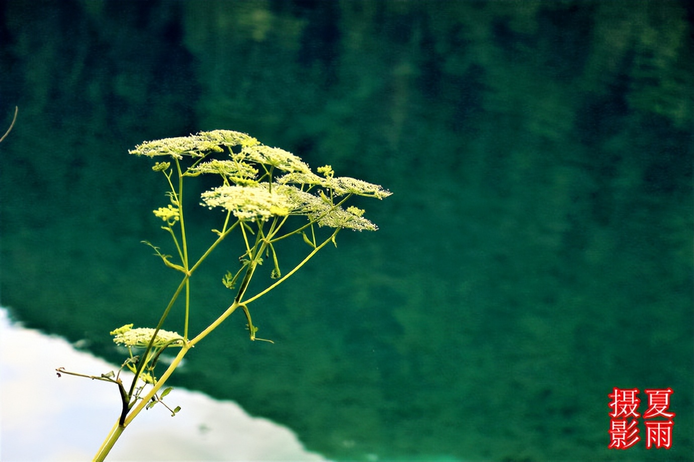 大美九寨沟之老虎海,九寨沟犀牛海与老虎海