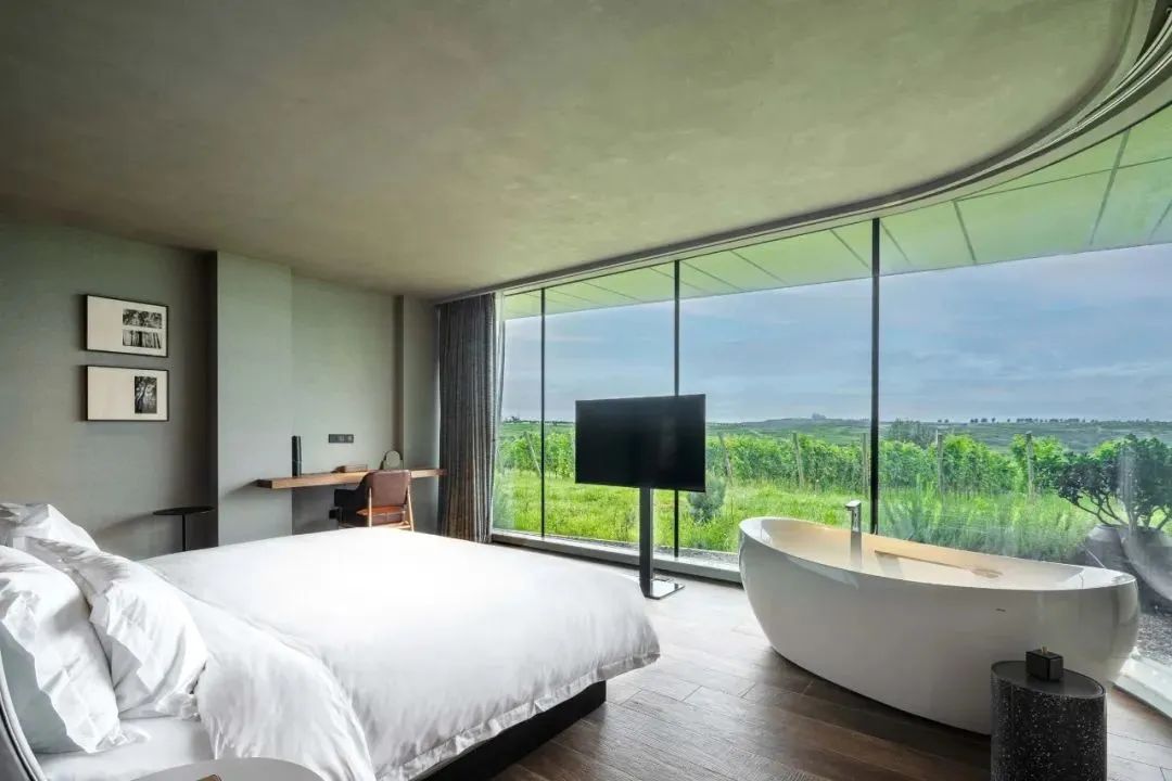 让世界微醺！沿着北纬37度黄金海岸，邂逅东方“波尔多”！