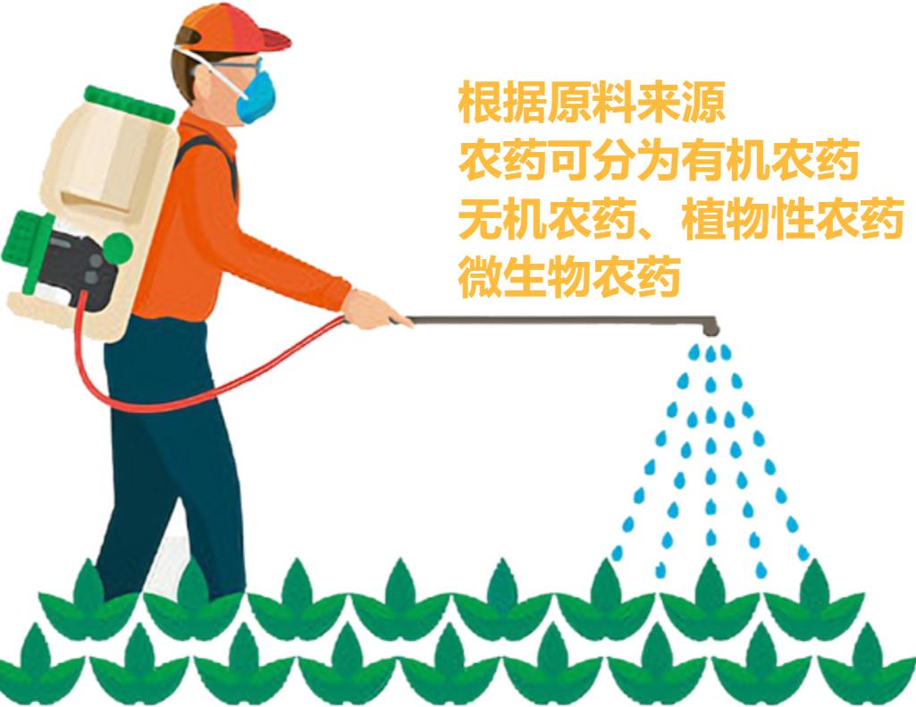 喜鹊窝防雨,喜鹊窝楼顶