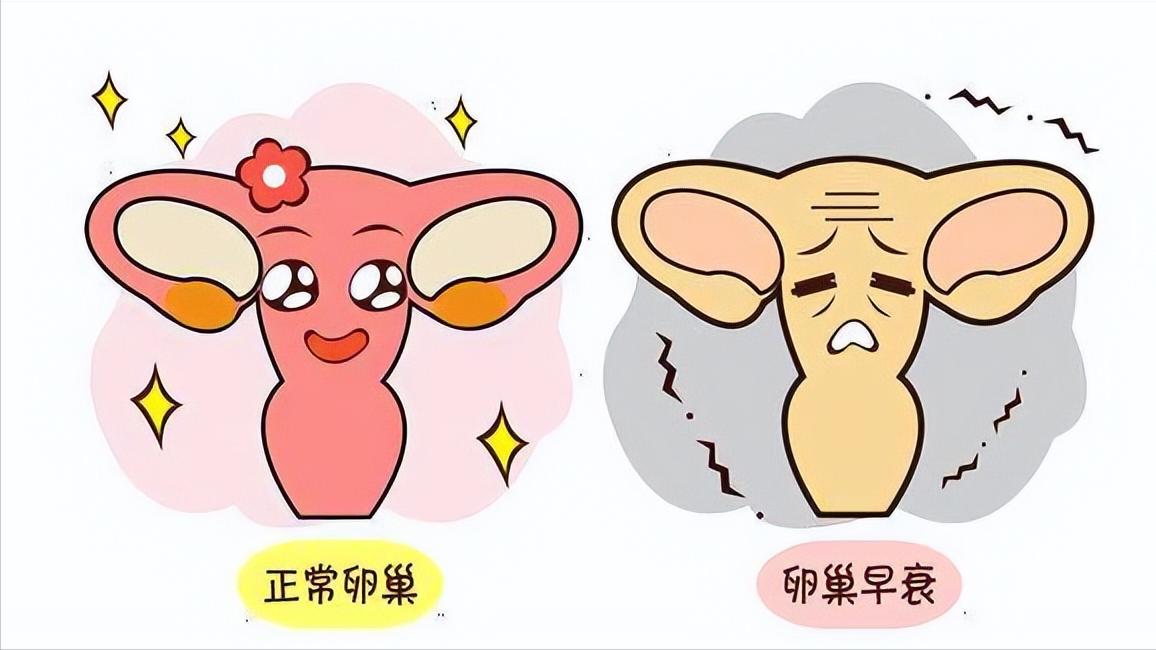 看不懂性激素六项检查报告单,性激素六项结果医生有没有不懂的