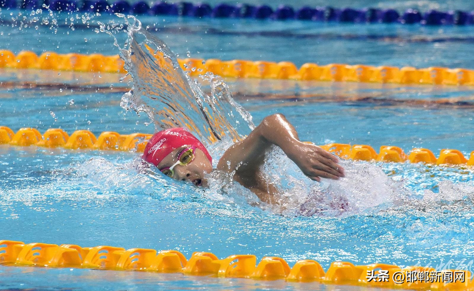 【聚焦河北省第十六届运动会】“浩沙FAFA”杯青少年游泳锦标赛开赛