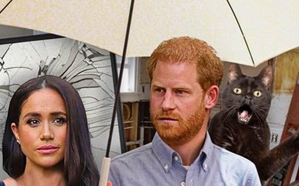 哈里梅根与温莎,梅根哈里与温莎之战