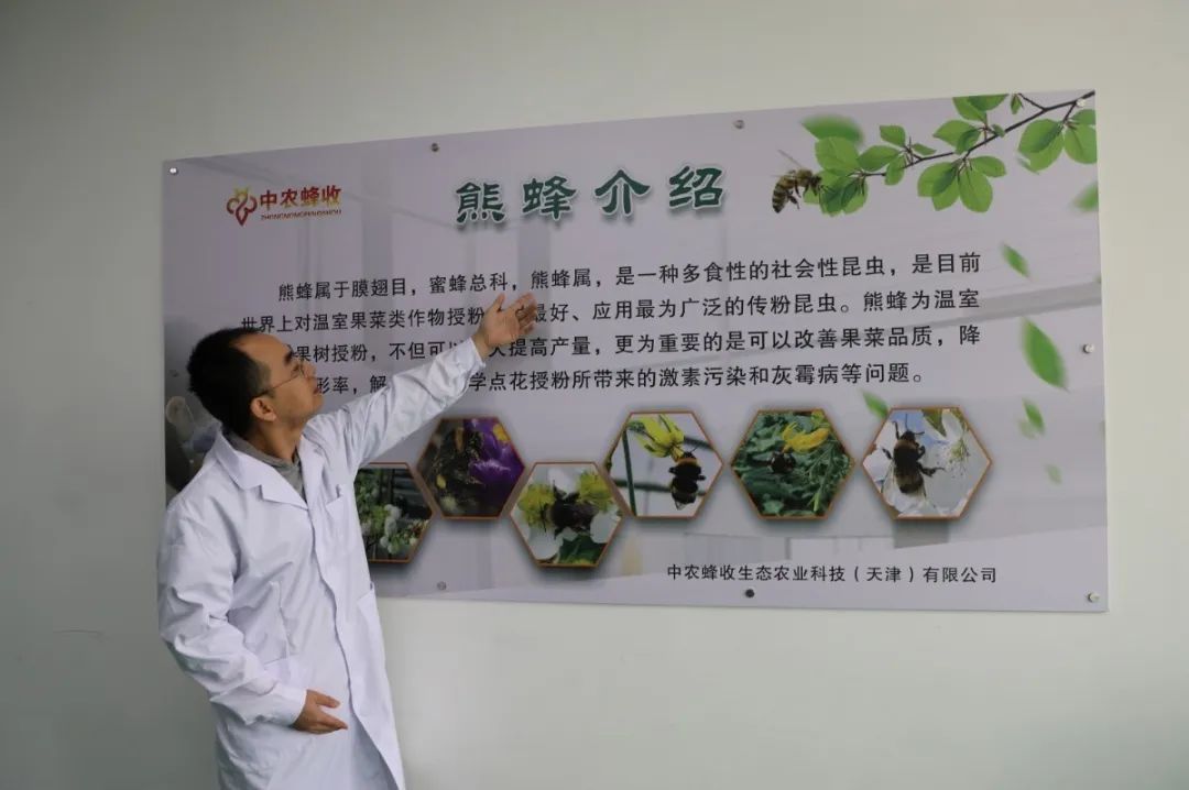 施足“金融底肥”，助力乡村振兴与高质量发展