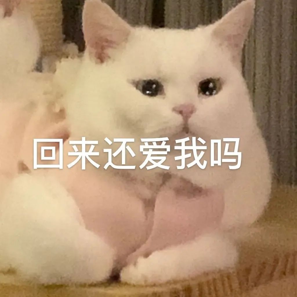 没事你继续打游戏吧表情包,我去打游戏了你乖乖的表情包