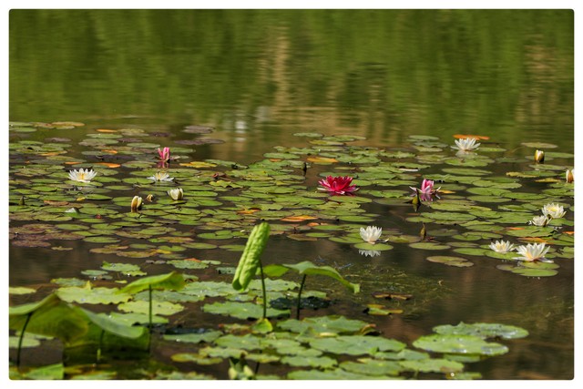 当一个人静不下心来怎么办,静不下心的时候适合做什么