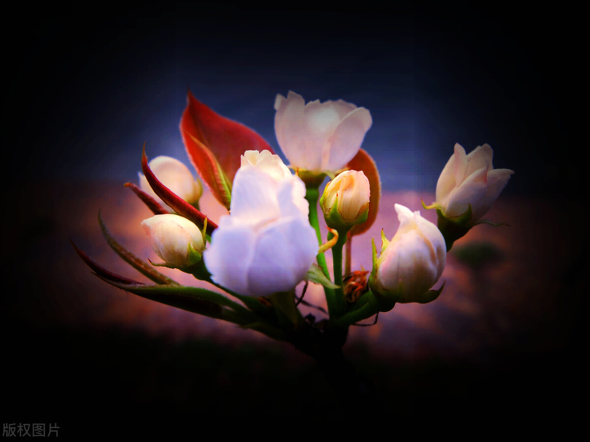 如何做好企业管理统计,企业统计在企业经营管理中的作用