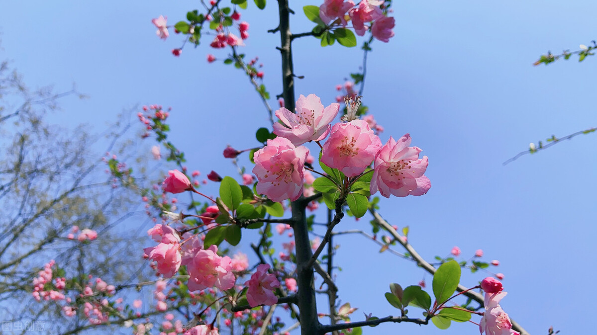 愿琴瑟在御岁月静好什么意思,愿琴瑟在御岁月静好