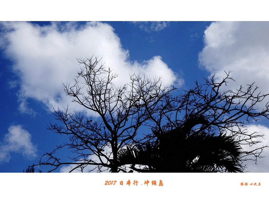 日本冲绳岛旅游攻略通用2篇,冲绳那霸自由行全攻略