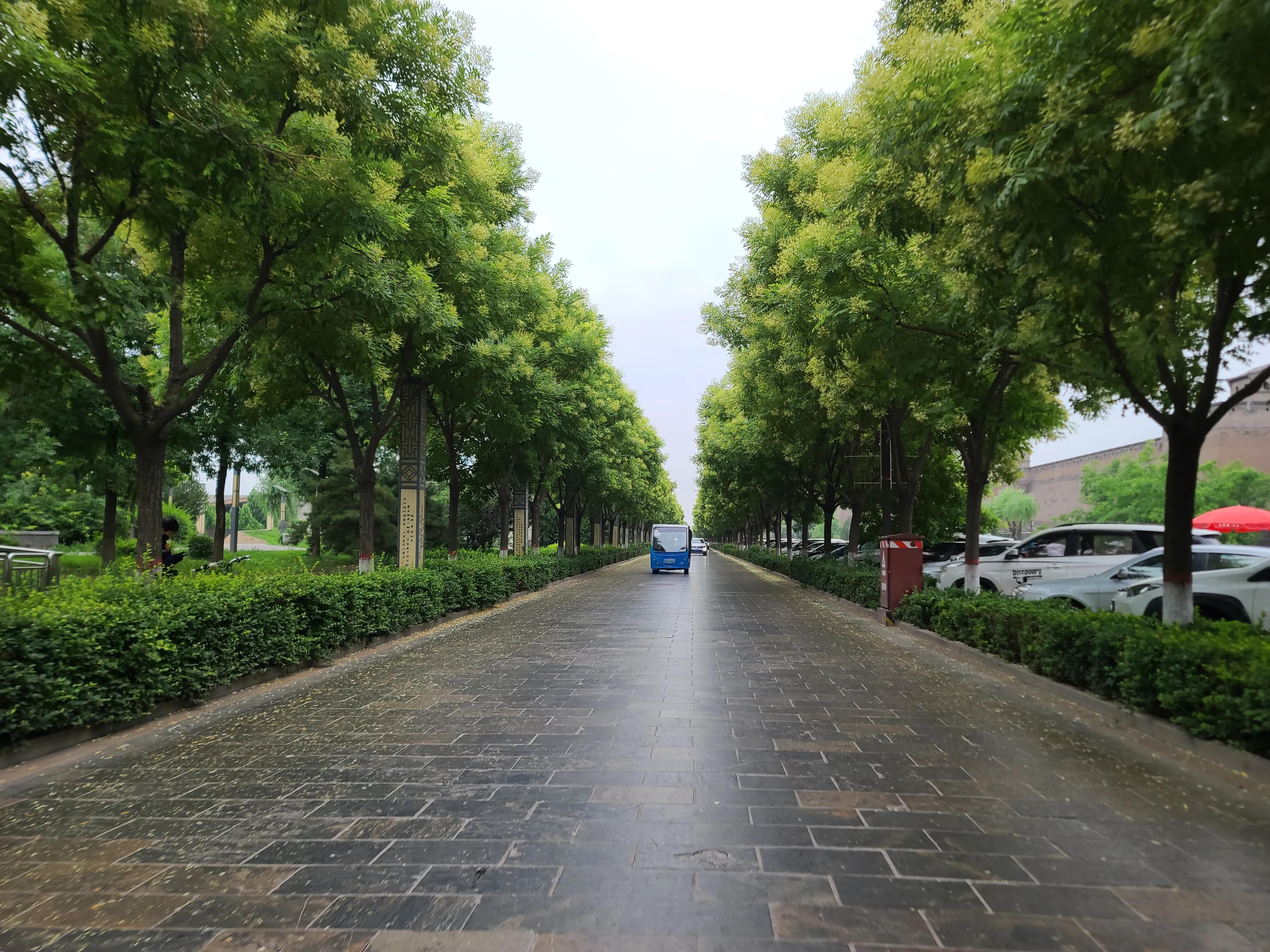 三星s20ultra拍照效果图,三星note20ultra前置摄像头