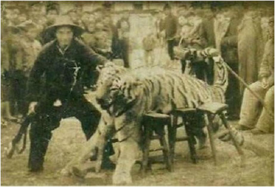 打虎人贺业武的一生