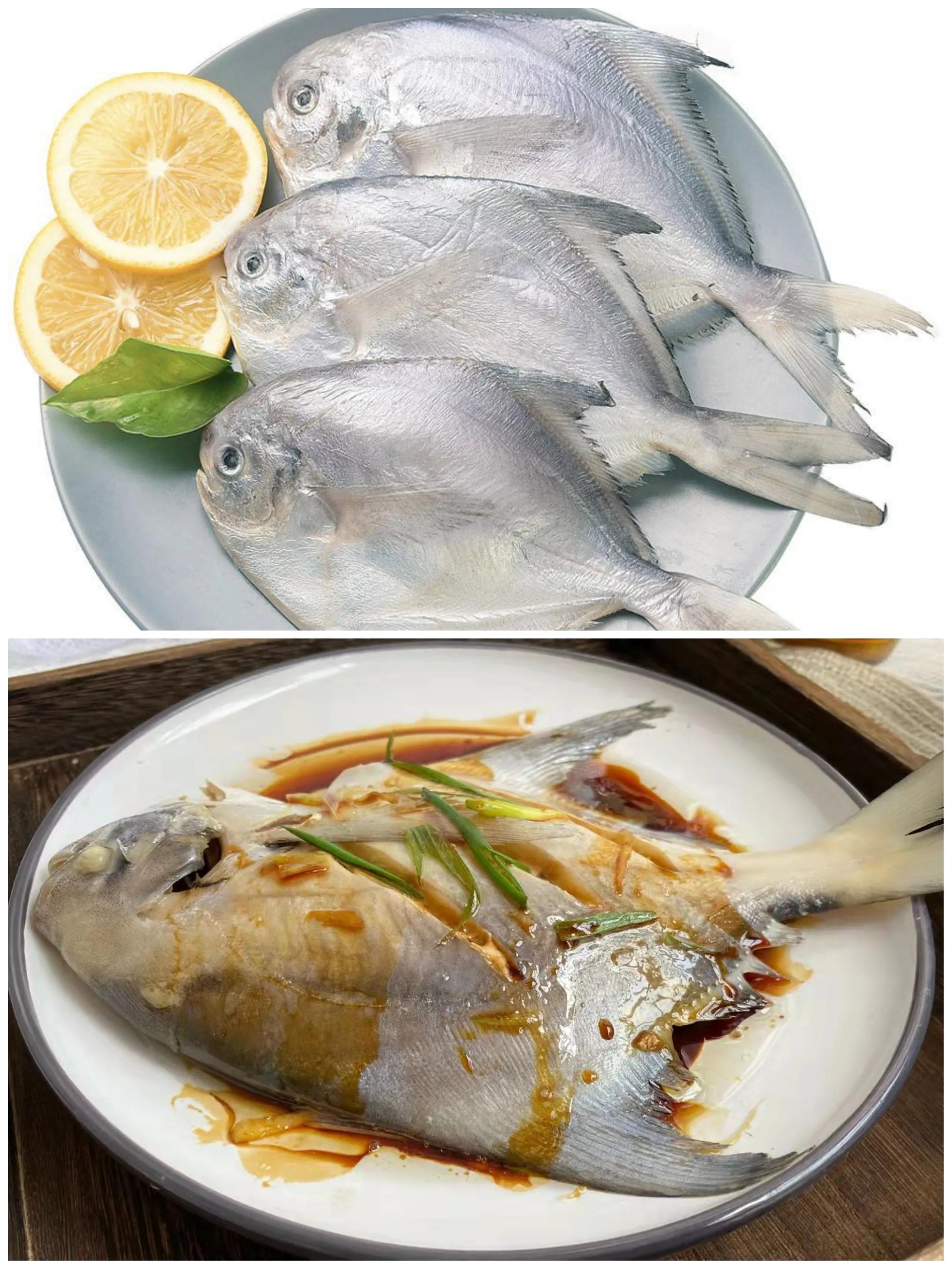 10种海鱼便宜营养价值高,30种最常吃的海鱼图片大全