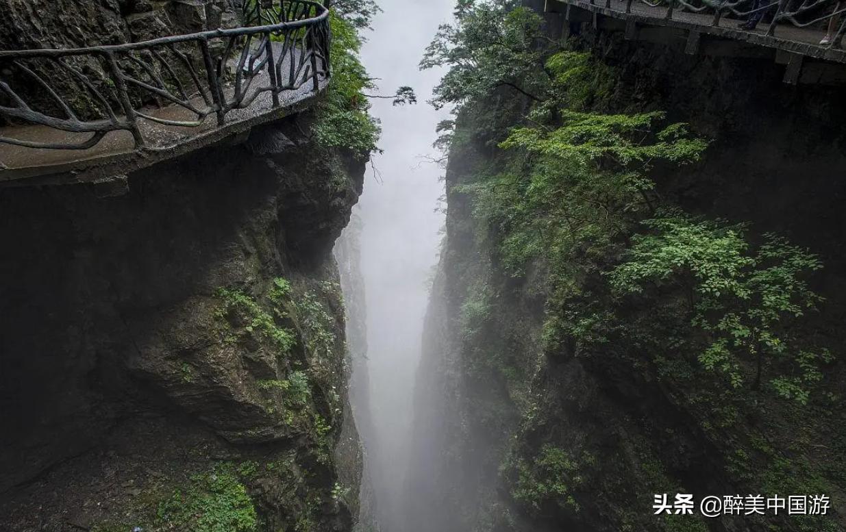 天门山国家森林公园攻略,天门山国家森林公园游览全过程