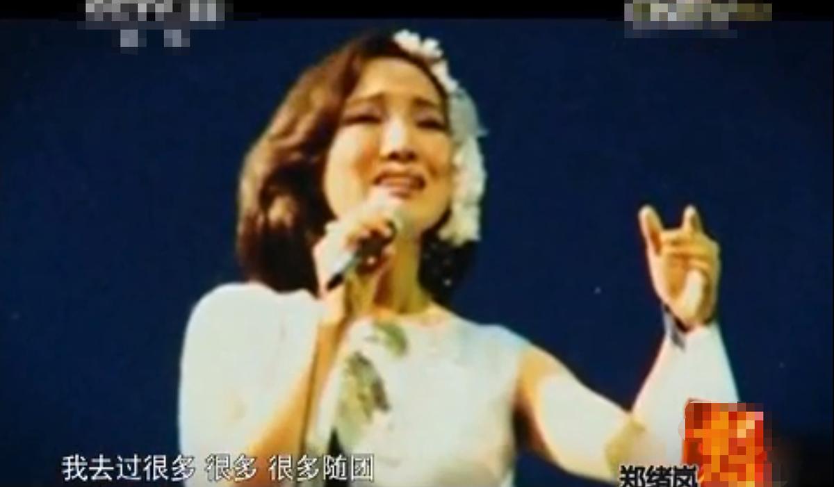 郑绪岚成名作北京卫视,郑绪岚如今有工作吗