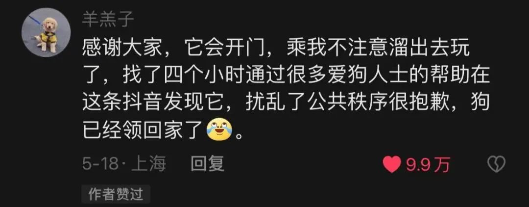 金毛误入地铁站后续,金毛闯地铁