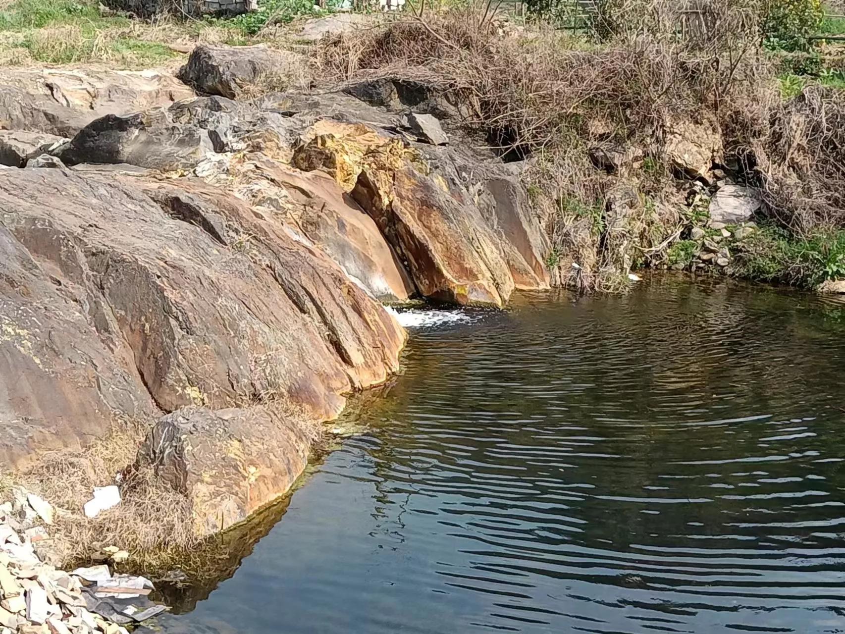 他不仅仅是古琴大师,他还是画家、篆刻家、书法家,二