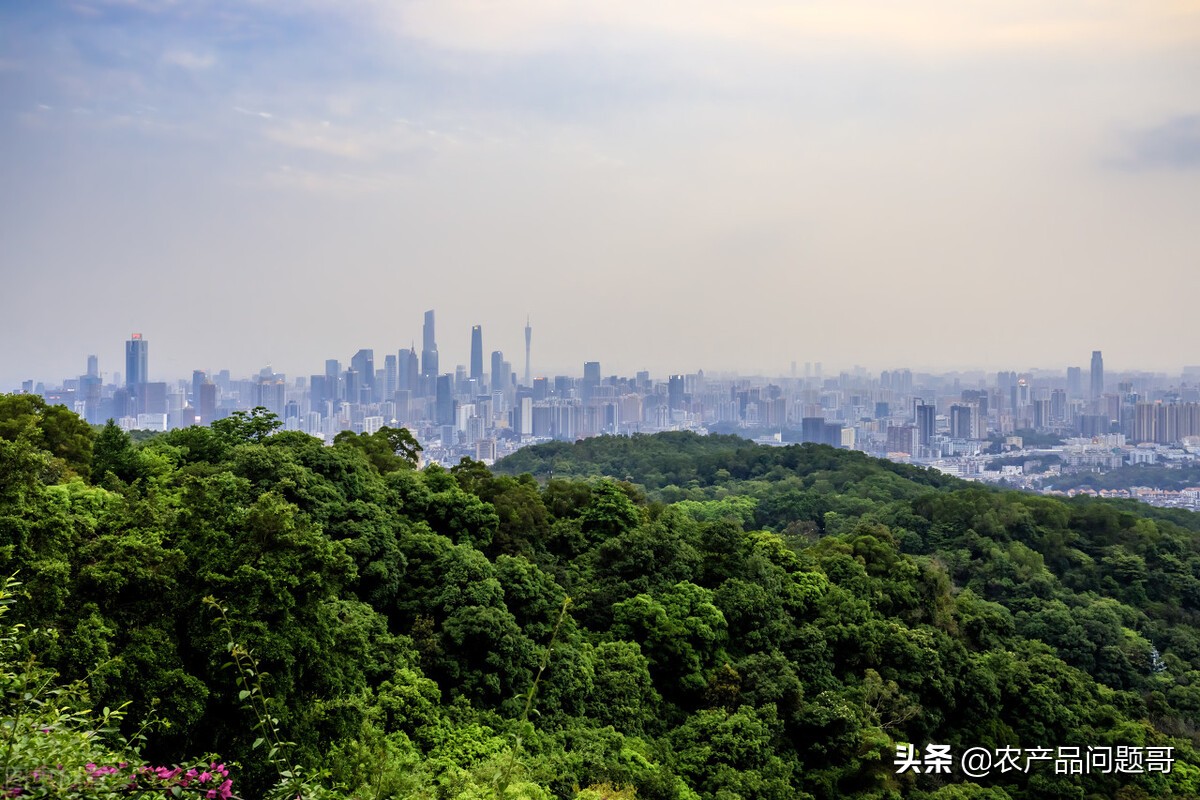 广州天河区农副产品交易市场,广州白云区太和农产品批发市场