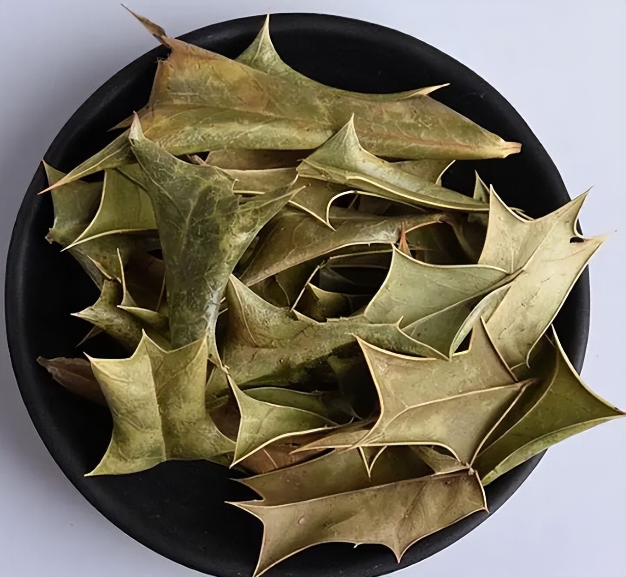 高级枸骨叶,带你识别仙鹤草