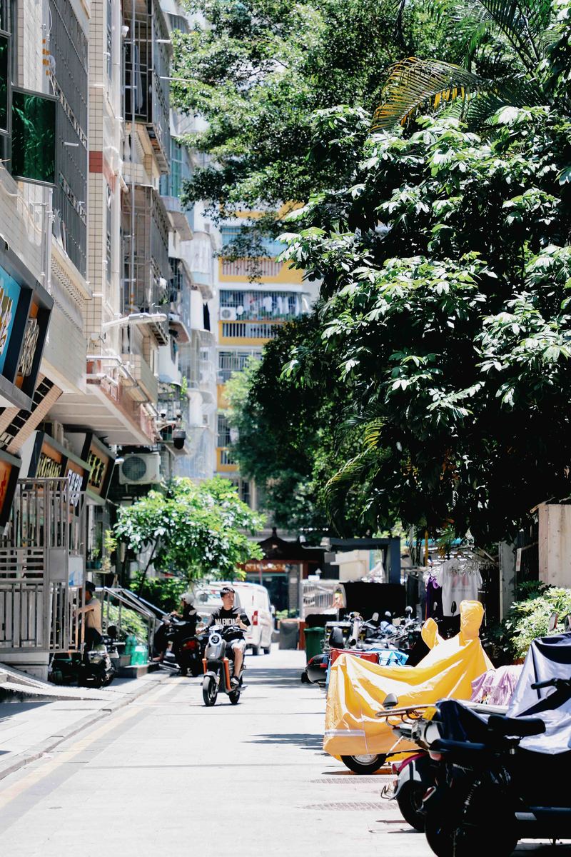 深圳ENJOY｜城市漫游指南·蛇口