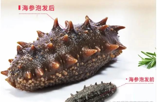 海参哪个牌子好带礼盒,海参的品牌哪个最好