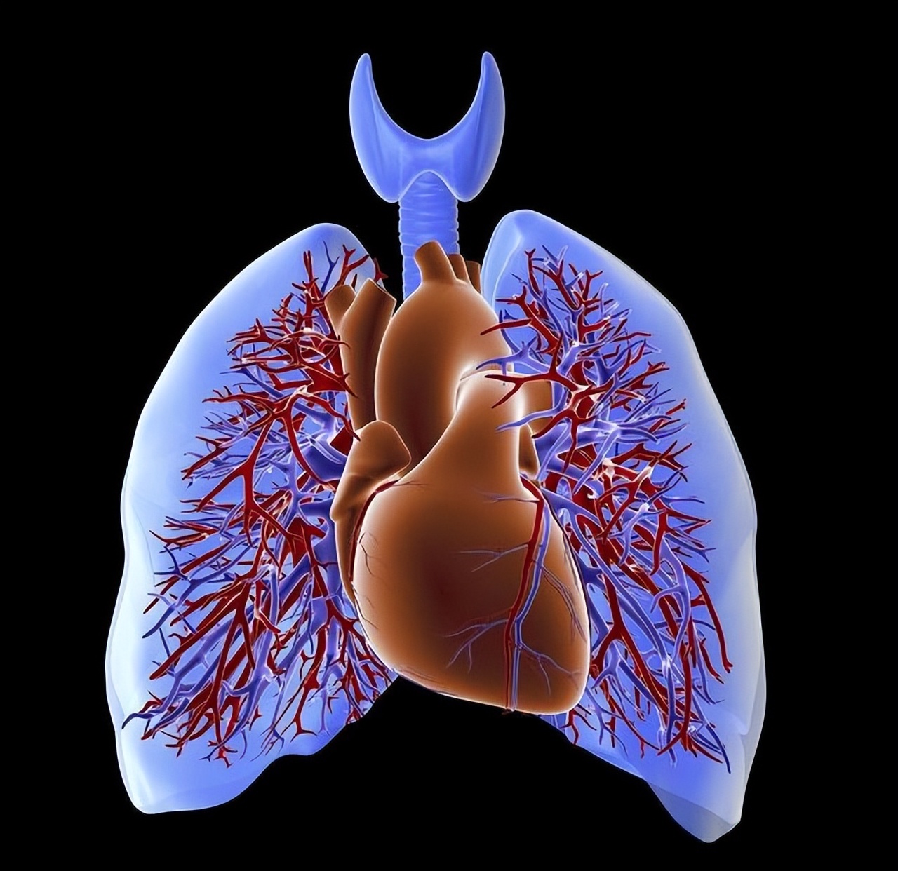 55岁男性体检应该检查哪些项目,体检一般检查哪些项目能预防癌症