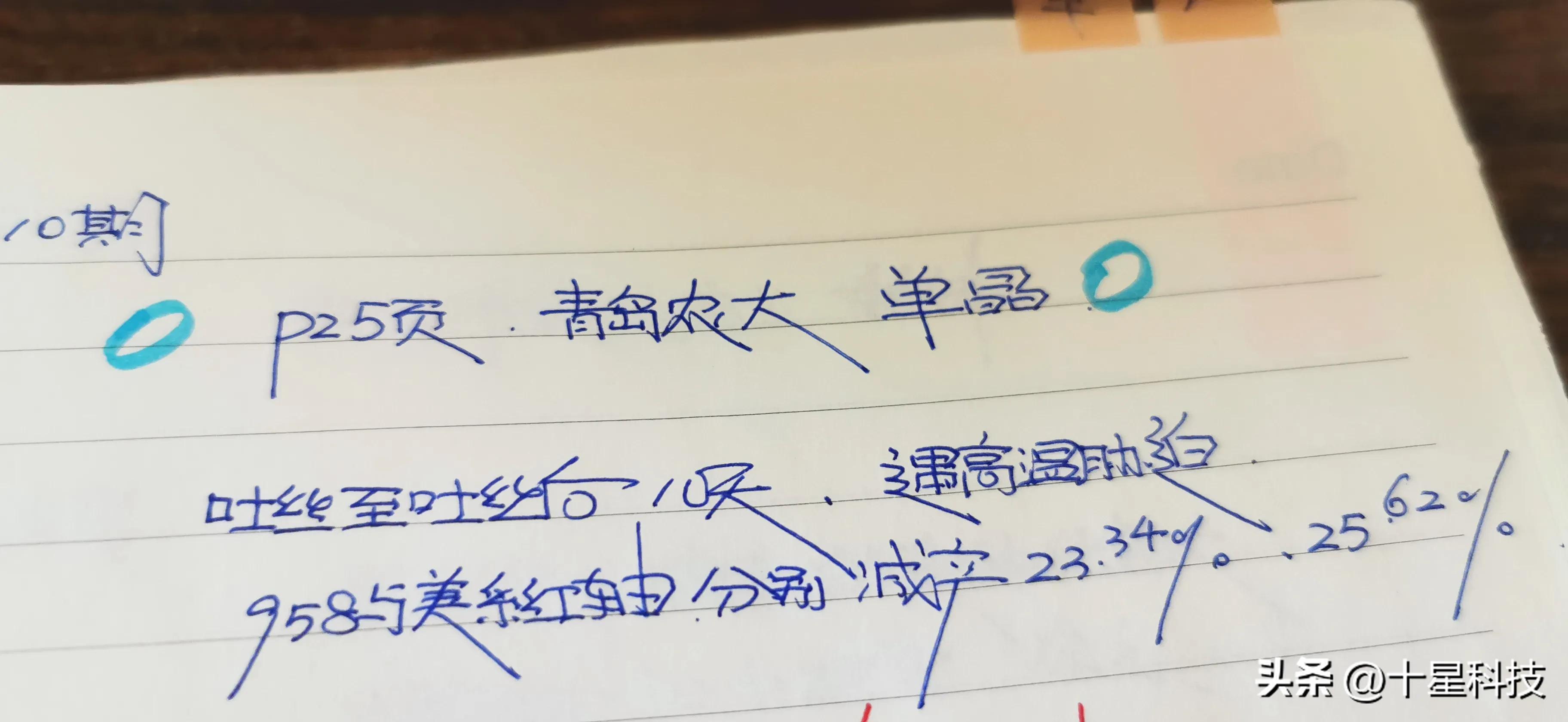 郑单958玉米新品种特征及表现,郑单958玉米品种是哪里培育的