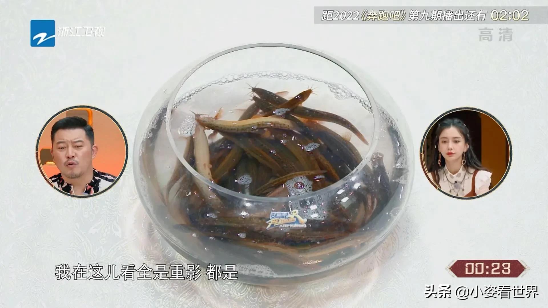 魏大勋聂远,魏大勋聂远奔跑吧