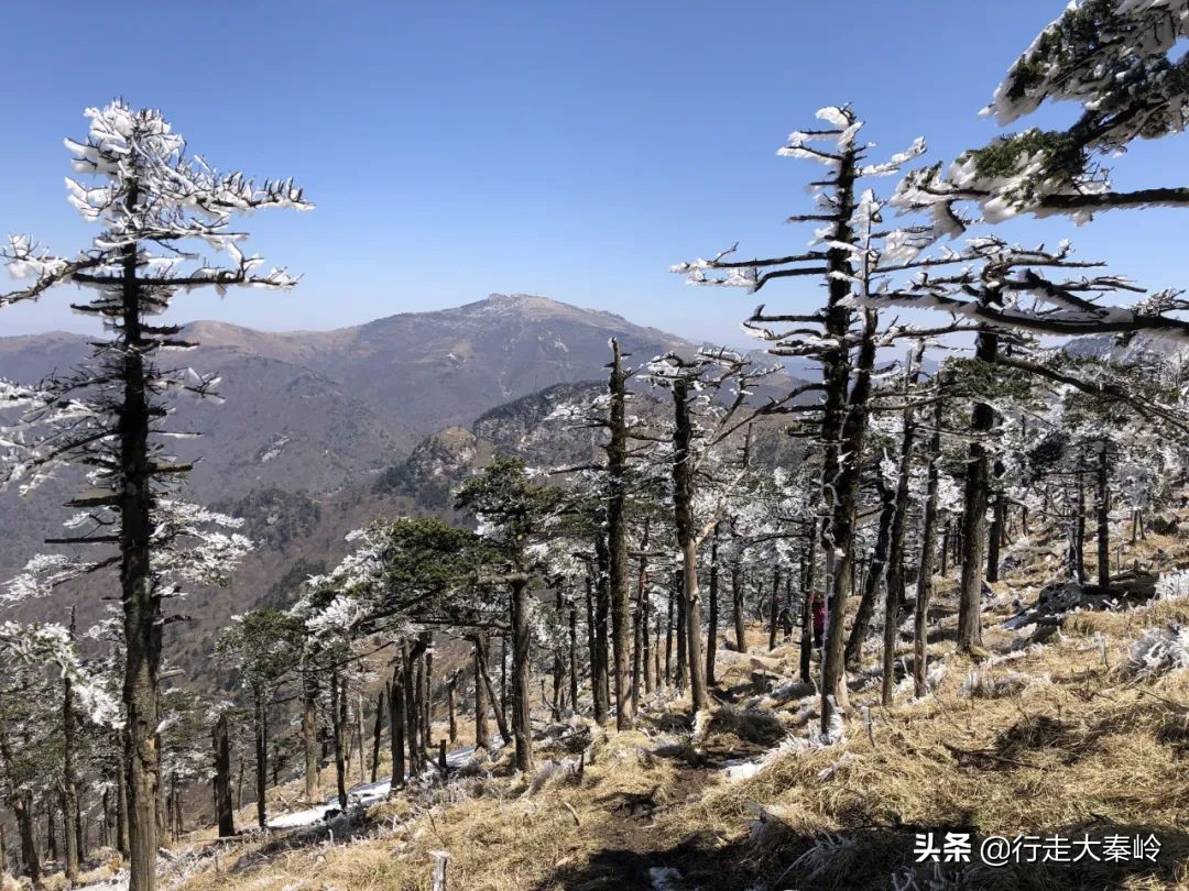 「36」脚踩光头一轮日心骋鹿角生净土——2020.04.12一日光鹿穿越