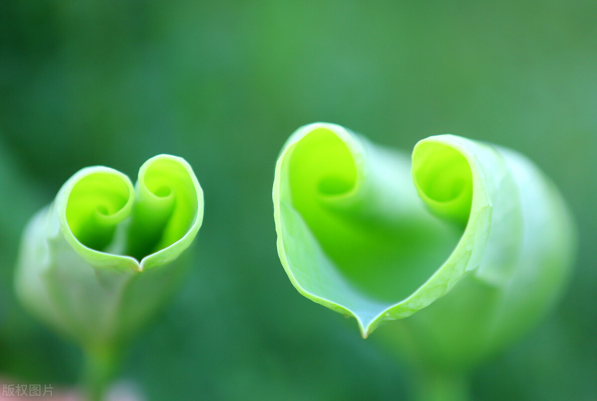 老师评价优秀家长的育儿方法分享,育儿家长如何引导与陪伴孩子锻炼