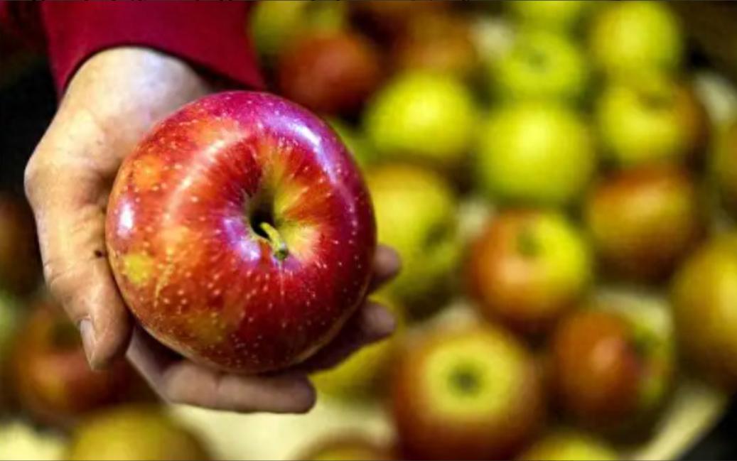 苹果在古代不叫“苹果”，古人取了个很唯美的名字，日本沿用至今