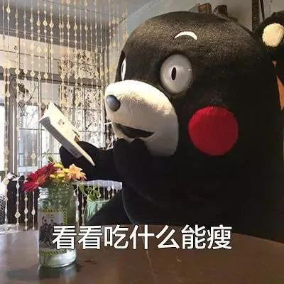 今日起开始减肥表情包,我不许你减肥表情包