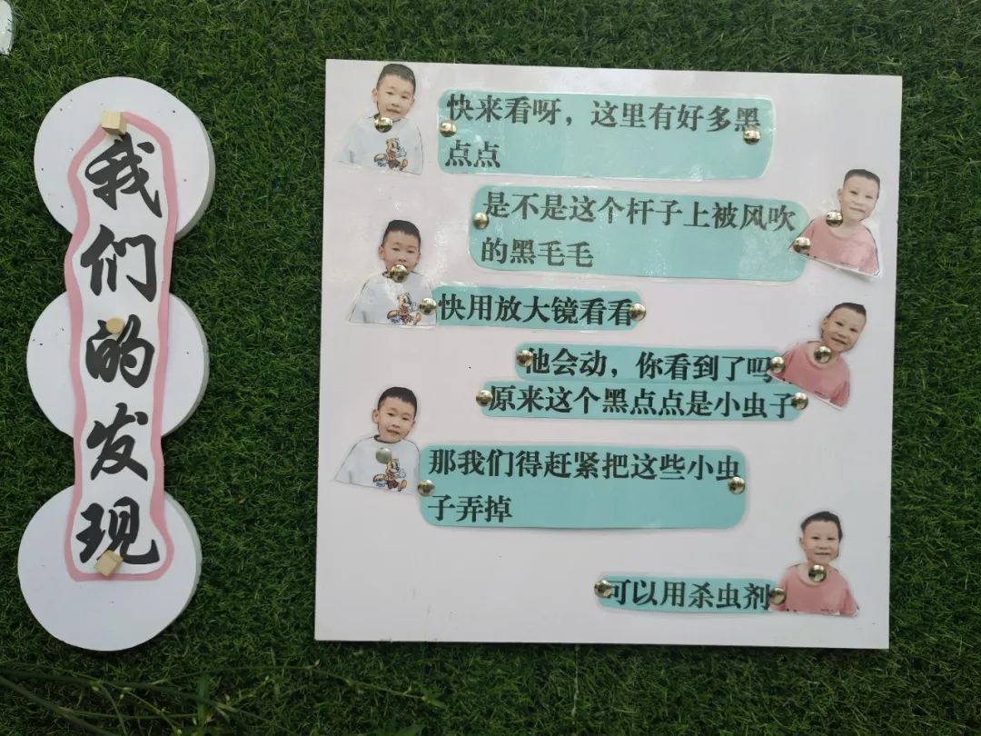 倾听儿童相伴成长主题墙幼儿园,倾听儿童相伴成长幼儿园小班视频