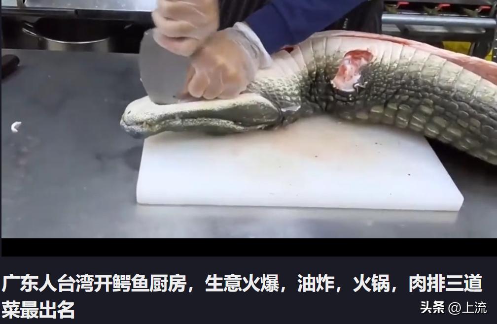 再“鳄”贯满盈的鳄鱼,也逃不出广东人的砂锅煲