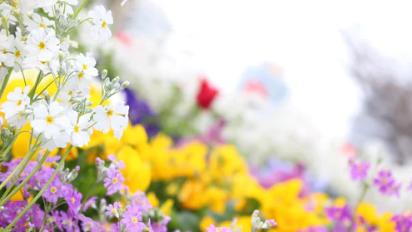 12首关于春风的小诗，浴春风十里，享万般情思