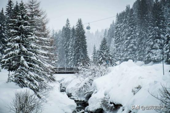 奥地利是高原国家吗,奥地利的周边国家有哪些