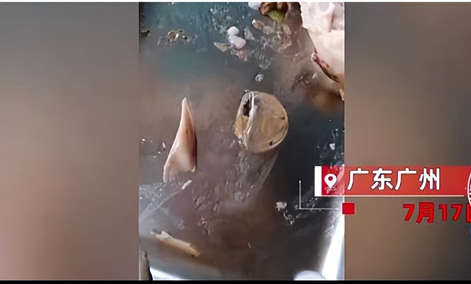 媒体评鸭眼球膜异物事件,鸭眼角膜事件