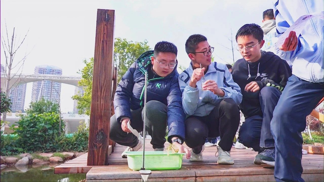 西南地区中小学美育高质量发展学术年会分会场在昆十中求...