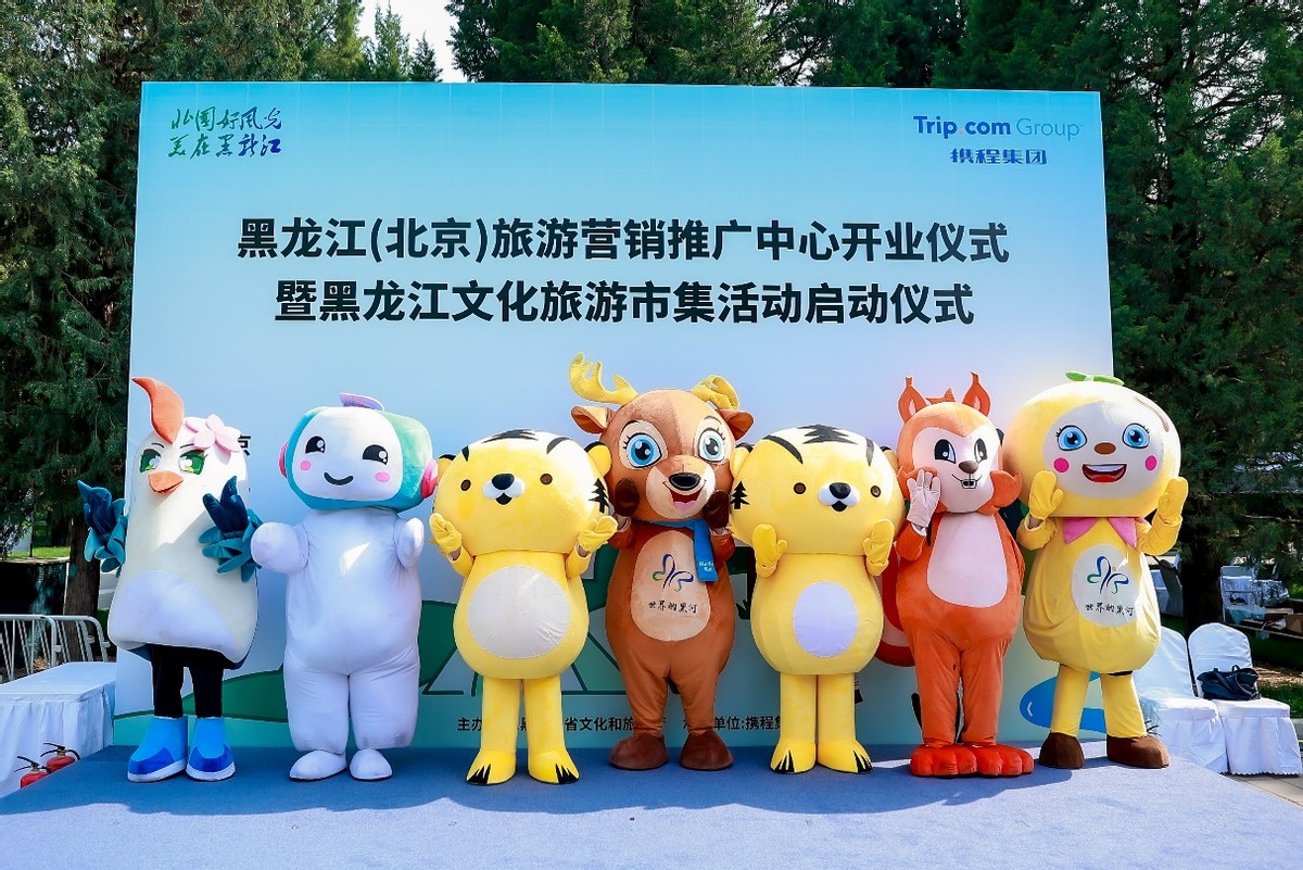 龙江旅游营销方案,黑龙江旅游市场营销方案