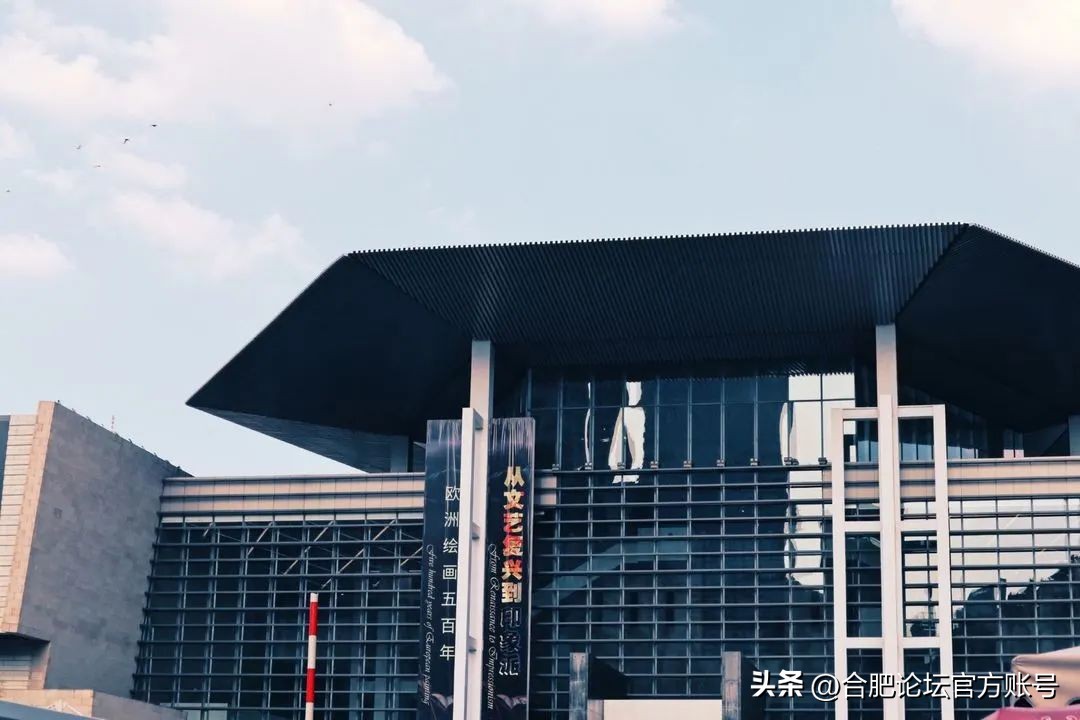 合肥市11月特价机票,特价机票来啦