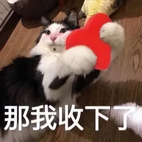 点读笔选哪一种更好,点读笔选购测评对比攻略