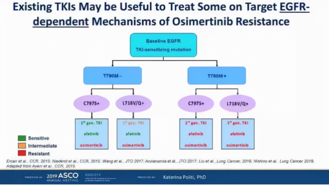 奥希替尼耐药后做哪些基因检测 (一文解析奥希替尼耐药最新方案)